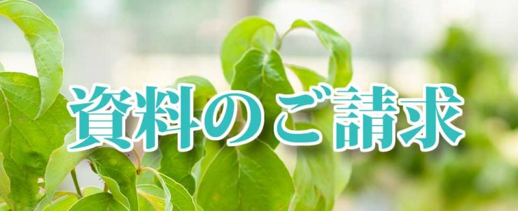 山口県岩国市の永代供養 / 山口県岩国市の墓じまい 資料請求